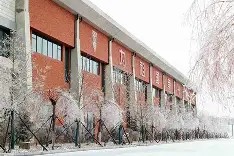 今年会app下载-长春亚泰主场失利，状态持续低迷的简单介绍