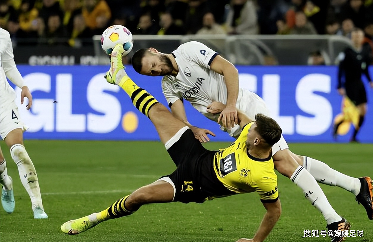 多特蒙德主力队员名单