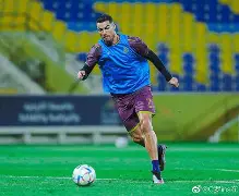 米内罗美洲vs帕尔梅拉斯