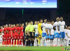 关于脱离降级区：摩纳哥主场对阵里尔的信息