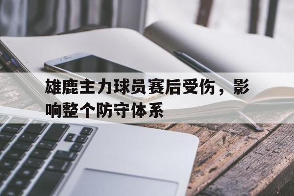关于雄鹿主力球员赛后受伤,影响整个防守体系的信息 关于雄鹿主力球员赛后受伤,影响整个防守体系的信息
